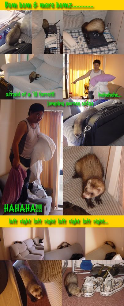 Image hosted by Photobucket.com