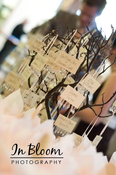 Manzanita Branches Wedding Centerpieces on Manzanita Branches And Their Use As Wedding Tree Displays  Wish
