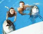 delfin.jpg