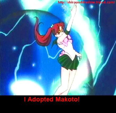 adopt_mako.jpg