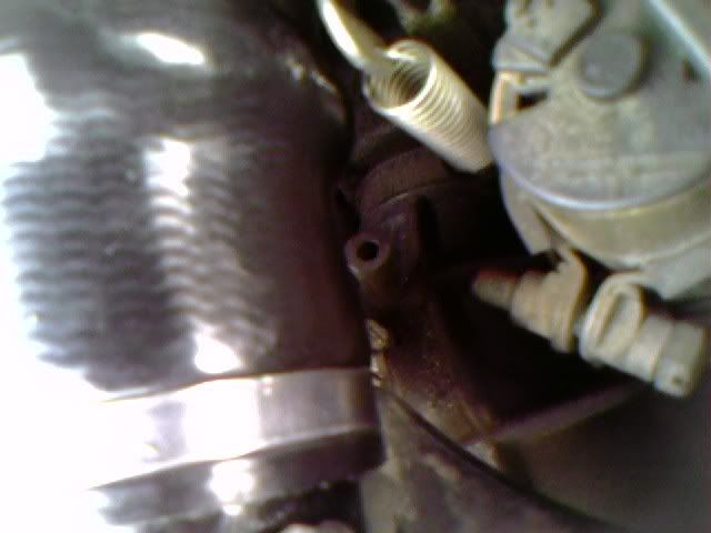Vacuum Lines Pelican Parts Forums