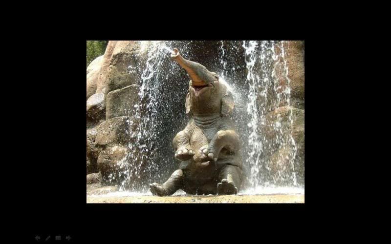 elephantinwaterfall.jpg