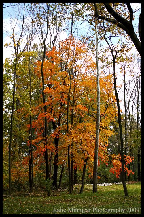 fall in southern Indiana