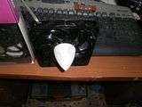 th_P1010159.jpg