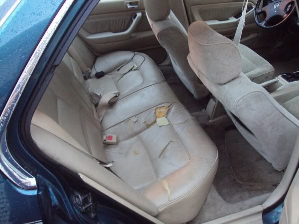 http://img.photobucket.com/albums/v480/groundedcavi/backseats.jpg