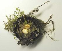 bird_nest.jpg