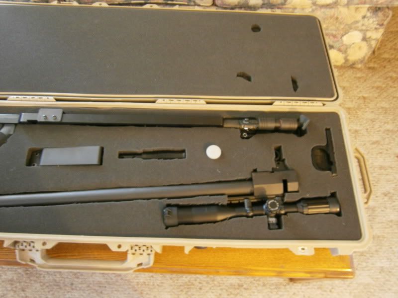 Picture234.jpg