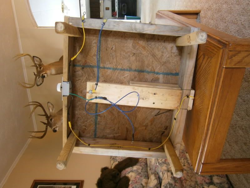 Picture244.jpg