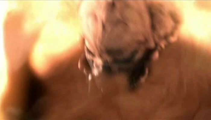 Plo Koon meets his fiery end in REVENGE OF THE SITH.