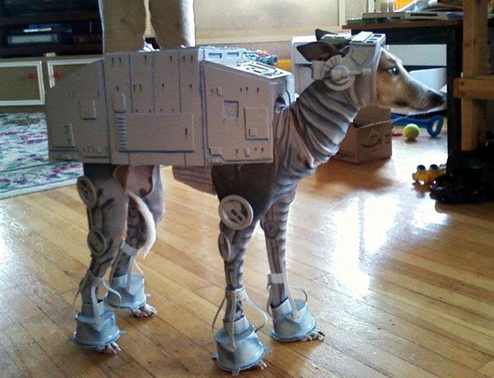 A dog that's dressed as an Imperial Walker.