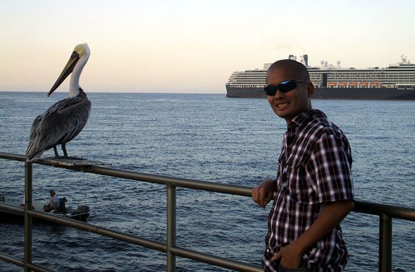 If only this pelican knew how many folks at Avalon Bay posed for pictures with this fella, on October 4, 2013.