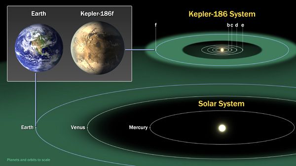 An artist's concept comparing the orbits of the Kepler-186 planets to those of Mercury, Venus and Earth.