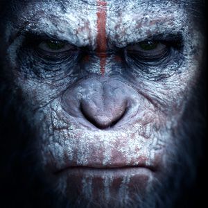 Caesar and his Simian race rise up against the humans in DAWN OF THE PLANET OF THE APES.