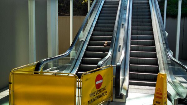 A squirrel lingers on an inactivated escalator that connects the Lower Campus to the Upper Campus at Cal State Long Beach...on January 3, 2015.