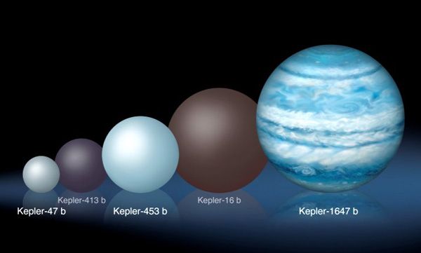 An illustration comparing Kepler-1647b's size to those of other exoplanets discovered by NASA's Kepler spacecraft.