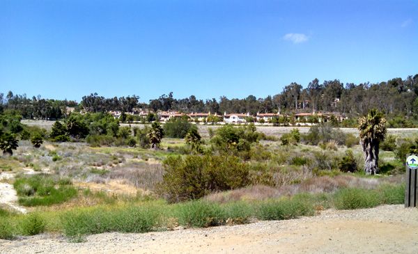 Another view from the trail Nancy and I used for our hike in Orange County, CA...on June 17, 2014.