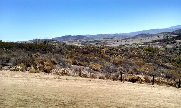 Another view from the trail Nancy and I used for our hike in Orange County, CA...on June 17, 2014.