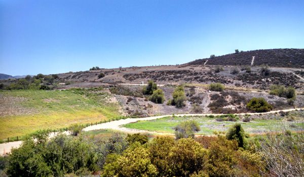 Another view from the trail Nancy and I used for our hike in Orange County, CA...on June 17, 2014.