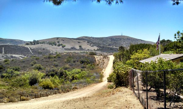 Another view from the trail Nancy and I used for our hike in Orange County, CA...on June 17, 2014.