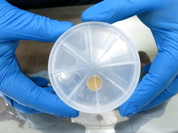 A microchip bearing the names of about 1.4 million people (including myself) was one of many special cargo items that flew aboard Orion during the EFT-1 mission...on December 5, 2014. A microchip bearing the names of about 1.4 million people (including myself) was one of many special cargo items that flew aboard Orion during the EFT-1 mission...on December 5, 2014.
