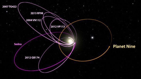 A diagram comparing the orbit of Planet Nine to those of other objects orbiting in our solar system's Kuiper Belt region.