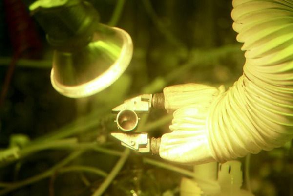 By producing 50 grams of plutonium-238, the Oak Ridge National Laboratory has demonstrated America's ability to provide a valuable energy source for deep space robotic and manned missions.