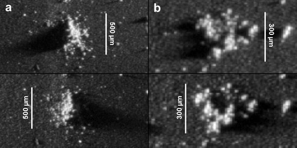 Dust grain impacts from comet 67P/Churyumov–Gerasimenko...as studied by ESA's Rosetta spacecraft between October 25 - 31, 2014.