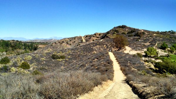 A view from the trail Nancy and I used for our hike in Orange County, CA...on November 17, 2014.