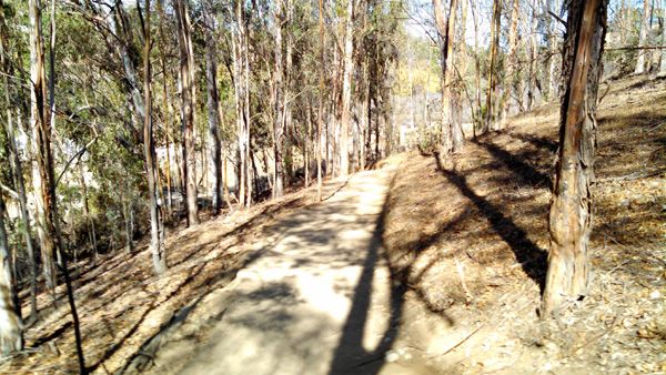 A view from the trail Nancy and I used for our hike in Orange County, CA...on November 17, 2014.