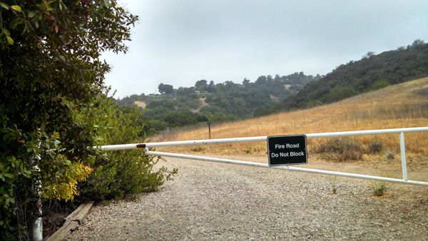 Another view of the trail Nancy and I used for our hike on June 6, 2014.