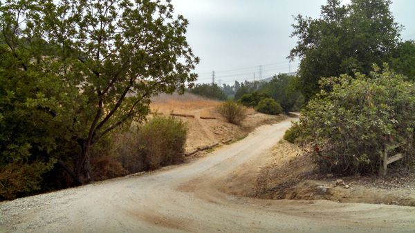 Another view of the trail Nancy and I used for our hike on June 6, 2014.