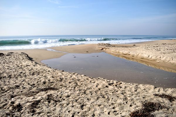 An image of a tidal pool at Crystal Cove Beach that I took with my Nikon D3300 DSLR camera...on January 17, 2018.