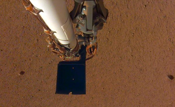 An image of the scoop and grappling mechanism on the InSight lander's robotic arm...taken by the arm's Instrument Deployment Camera on December 4, 2018.