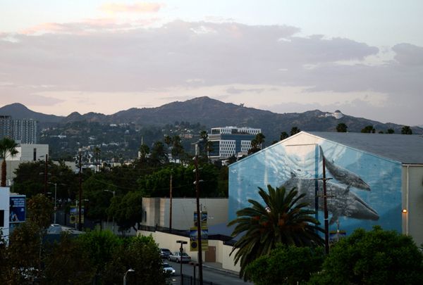 A snapshot of Stage 29 (with Griffith Observatory visible on the hill behind it) as seen from Paramount Pictures' Gower parking structure...on July 31, 2017.