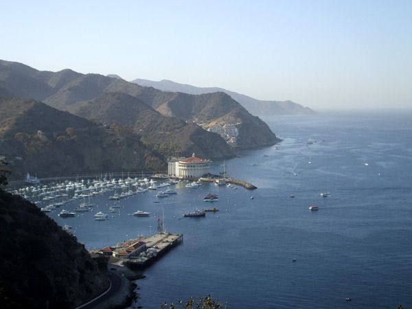 A photo I took at Catalina Island in October of 2013.
