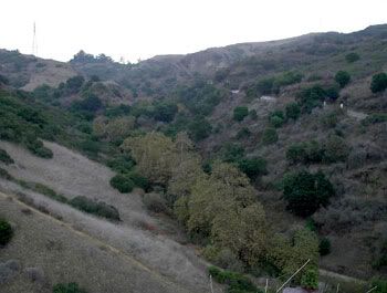 The infamous Turnbull Canyon Road in Whittier, CA.