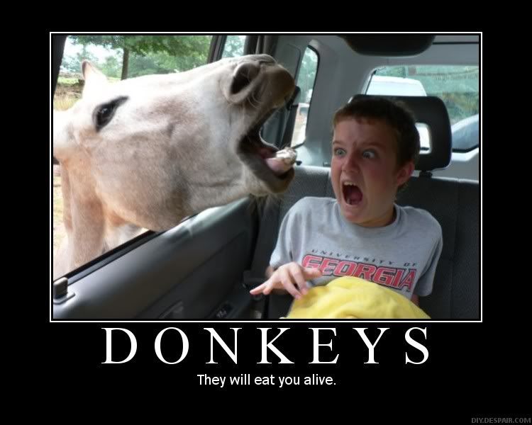 [Imagen: MotivationalPosters-Donkeys.jpg]