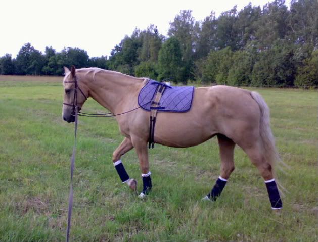 200807142213.jpg