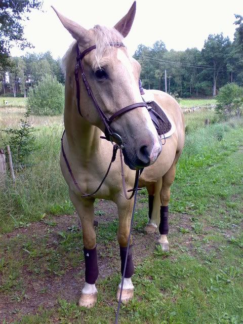 200808132306.jpg