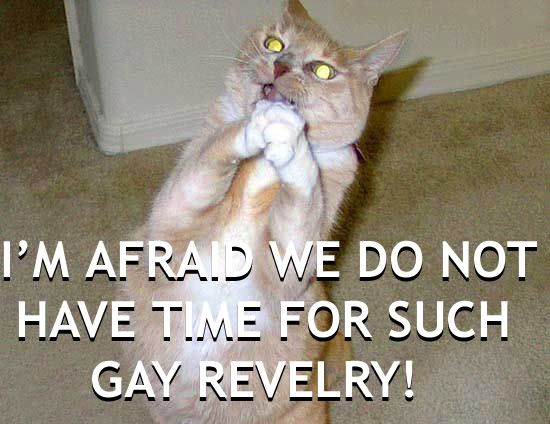 cats-gayreverly.jpg
