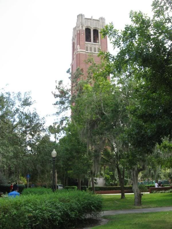 Downtown Gainesville, FL + UFL Campus SkyscraperPage Forum