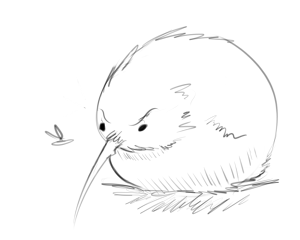 kiwi.png