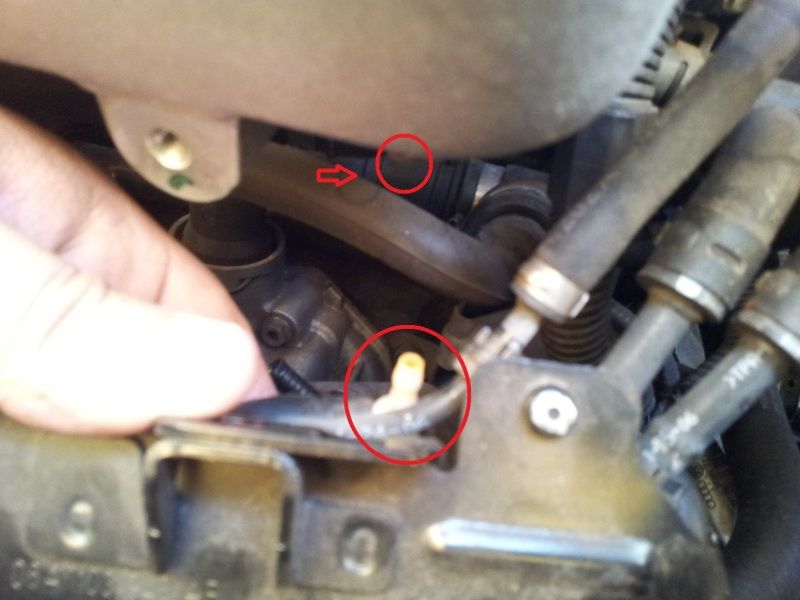 2012-01-30133505.jpg