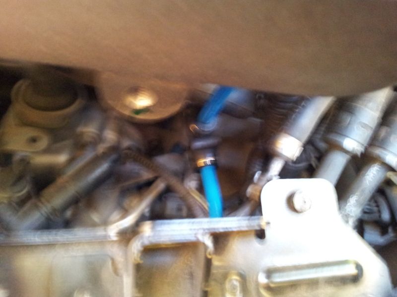 2012-01-30134957.jpg