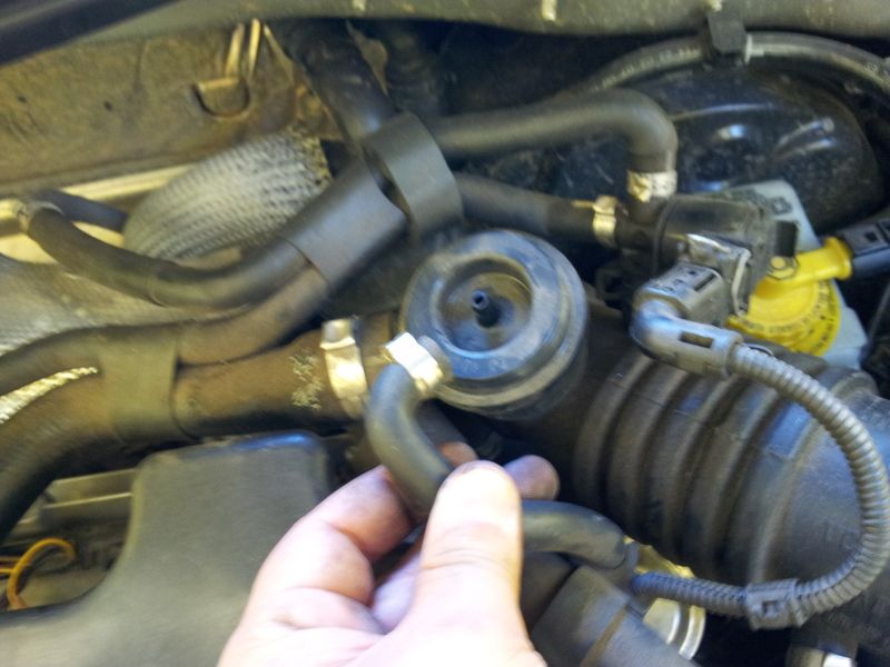 2012-01-30135448.jpg
