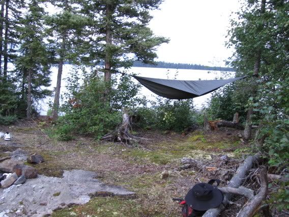 islandhammock.jpg