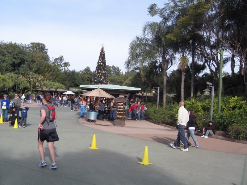 DisneyJan20111296.jpg