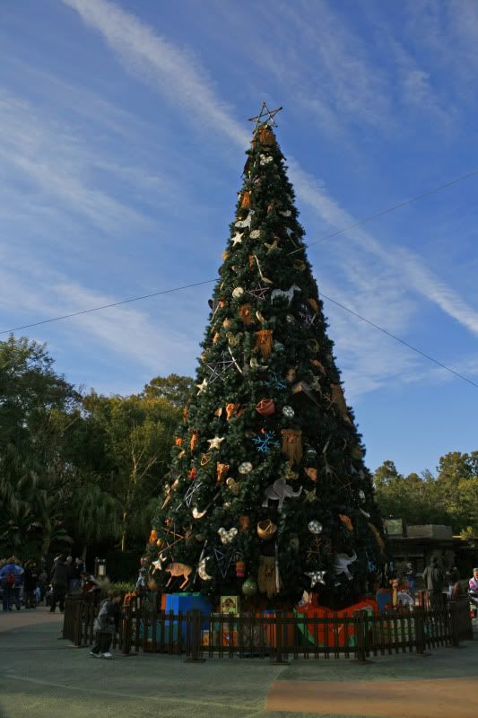 DisneyJan2011637.jpg