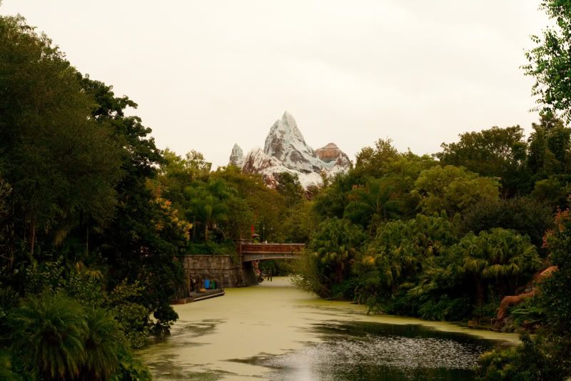 DisneyTripNov2011222.jpg