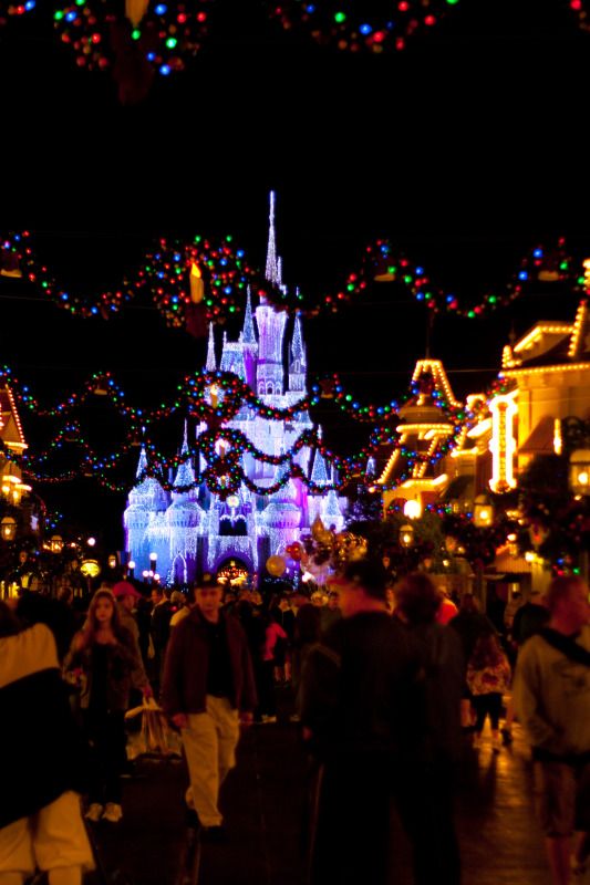 DisneyTripNov2011473.jpg